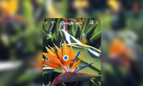 Google Ống Kính: Phương thức tìm thông tin, và học thông minh hơn