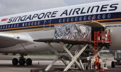 Singapore tăng cường công tác chuẩn bị vận chuyển, bảo quản và phân phối vắc-xin COVID-19 