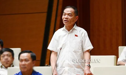 ĐBQH đề xuất xây dựng Luật về an ninh kinh tế, bảo vệ người tốt