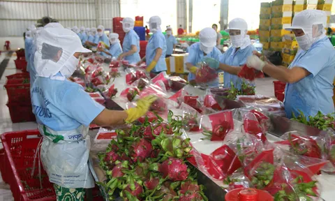 Hoa Kỳ tiếp tục là thị trường xuất khẩu lớn nhất của Việt Nam với kim ngạch đạt 37,6 tỷ USD