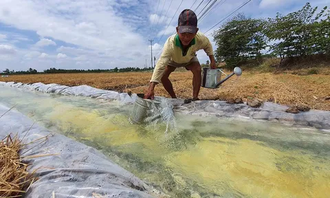 INSEE Việt Nam tài trợ 500 triệu đồng và 500 tấn xi măng cho dự án “Nước cho vùng hạn mặn”