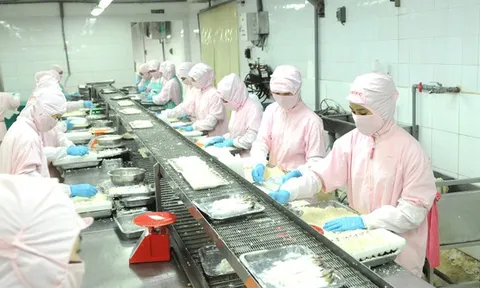 Tận dụng cơ hội để phát triển