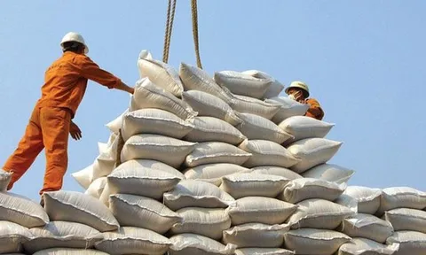 Thủ tướng đồng ý cho xuất khẩu gạo có kiểm soát