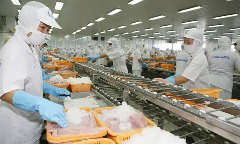 Xuất khẩu thủy sản những tháng cuối năm 2019: Tập trung gỡ rào cản thương mại