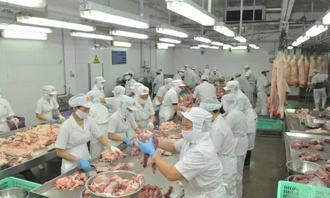 Khôi phục và phát triển kinh tế TPHCM năm 2020: Tập trung khai thác lợi thế sân nhà