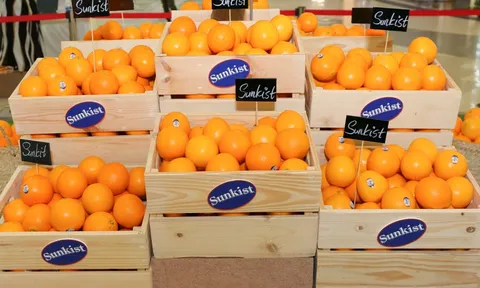 Thương hiệu Sunkist gia nhập thị trường Việt Nam với sản phẩm cam Navel