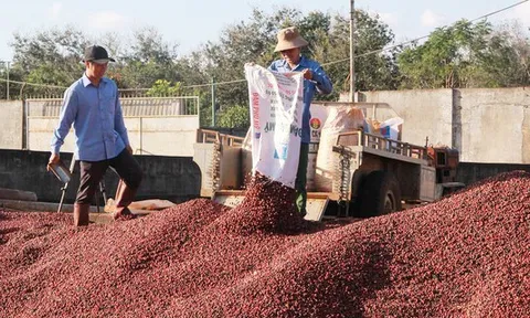 Nhiều mặt hàng xuất khẩu vượt 2 tỷ USD