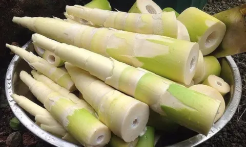 Bí quyết đơn giản để có món măng ngon, khử sạch độc tố