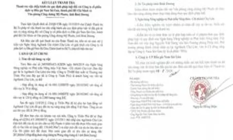 Thanh tra Bộ Tư pháp kết luật hàng loạt vi phạm của Công ty Nam Sài Gòn để xảy ra trong vụ đấu giá dự án mỹ phước 4