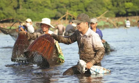 Hàng trăm người reo hò, lội bùn bắt cá cầu may