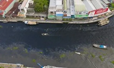 Tái diễn dòng nước đen trên sông Cái Lớn