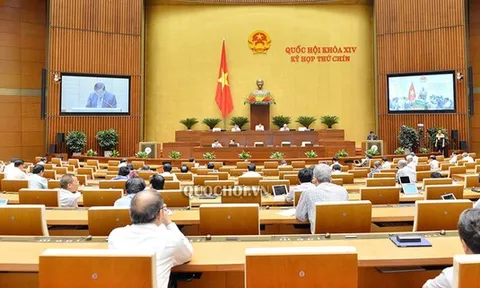 “Đặc thù thì phải tổ chức HĐND thành phố theo cách khác“