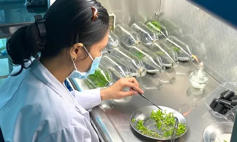 Thay đổi thương mại hóa sản phẩm nghiên cứu