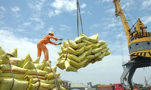 Thủ tướng Chính phủ yêu cầu tạm dừng ký hợp đồng xuất khẩu gạo mới