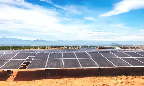 T&T Group đồng loạt hòa lưới 3 nhà máy điện mặt trời