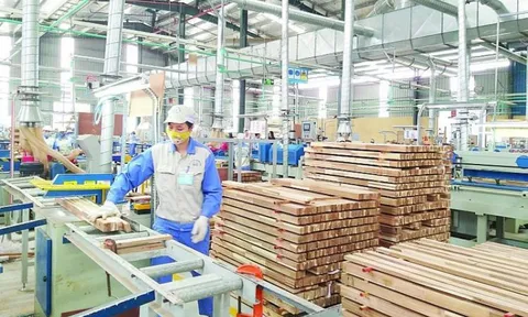 Chữa “bệnh” gian lận thương mại để ngành gỗ Việt sống khỏe
