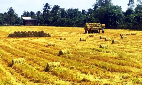 Việt Nam sẽ có mức tăng trưởng dương cao nhất trong ASEAN-5 ​