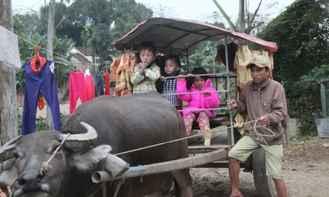 Cảm động người cha tàn tật dùng xe trâu chở con gái tới trường
