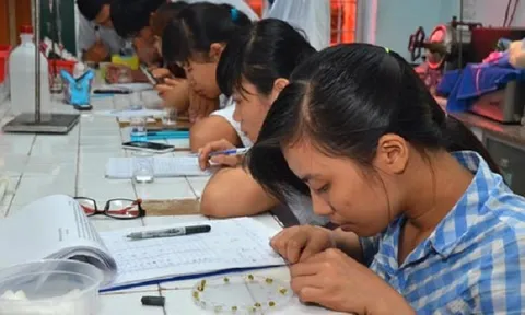 Giáo dục đại học thụt lùi, vì đâu?