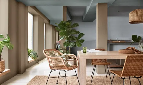 Các giải pháp giúp thanh lọc khí độc hại trong không gian sống