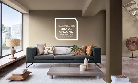 Nâu quả cảm sẽ là xu hướng màu sắc cho không gian sống năm 2021c