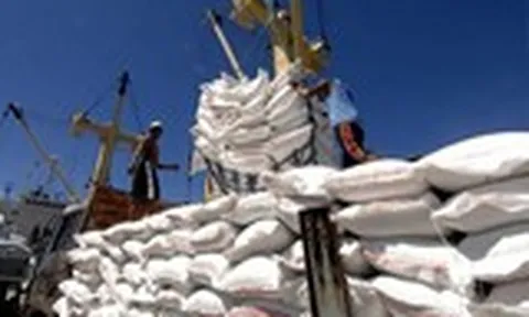 Tăng cường phối hợp gỡ vướng cho xuất khẩu gạo