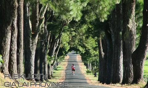 Tiền Phong Marathon 2021 với “Giấc mơ đại ngàn” phủ xanh Việt Nam