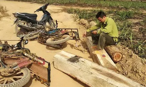 Đổ máu để giữ rừng