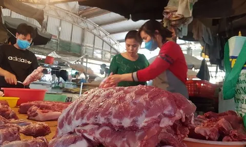 Việt Nam sẽ nhập khẩu cả heo sống