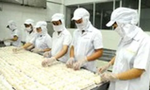 Nhiều mặt hàng xuất khẩu sang Ấn Độ tăng hơn 100%