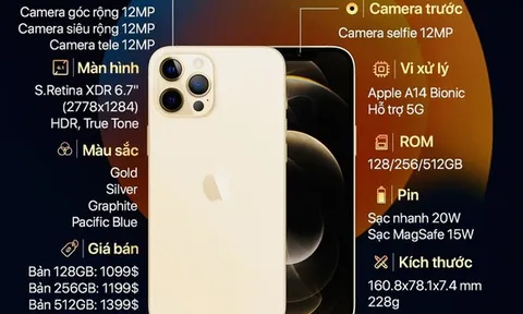 Apple ra mắt 4 iPhone mới: khi nào có thể "đặt gạch" iPhone 12 tại Việt Nam?