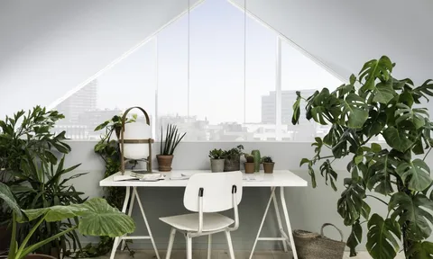 Xanh Ban Mai – Cảm xúc nhân bản tươi mới