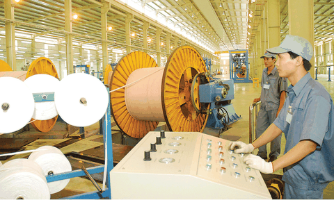 “Thời gian vàng” xâm nhập thị trường EU