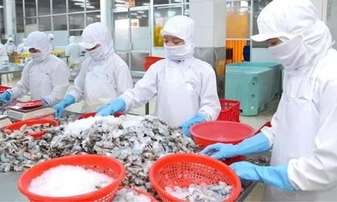 Xuất khẩu của Việt Nam không phải hoàn toàn nhờ... "tôm, cá"