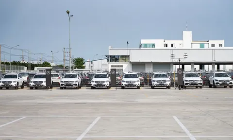 Nhà máy lắp ráp xe sang duy nhất tại Việt Nam tạm nghỉ để đối phó Covid-19