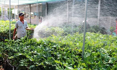 Xâm nhập mặn ở ĐBSCL có xu thế giảm dần từ tháng 5