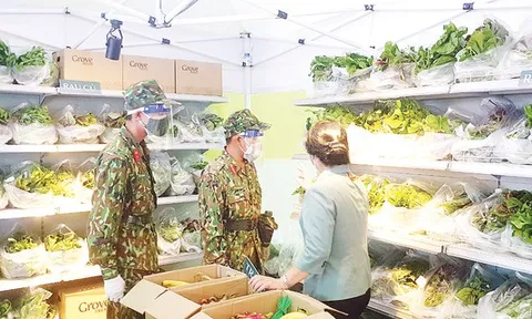 Đi chợ giúp dân - thêm sự an tâm để “ai ở đâu ở yên đó”