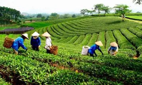 Những điểm đến không thể bỏ qua ở Phú Thọ