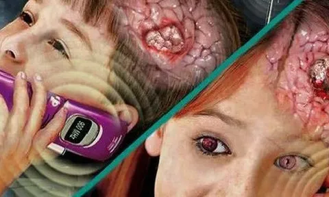 Sóng điện thoại di động đã được giải oan