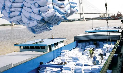 EVFTA chính thức có hiệu lực: Sức mạnh mới để phục hồi nền kinh tế