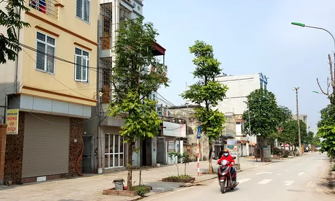 Đấu giá quyền sử dụng đất: Nỗ lực gỡ khó