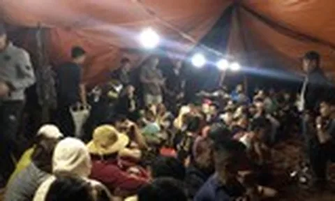 Khởi tố 33 đối tượng tham gia đánh bạc trong vườn điều