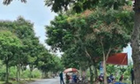 Quảng Nam cách ly tập trung bắt buộc đối với trường hợp F1