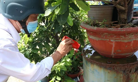 Không để xảy ra dịch chồng dịch