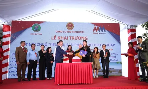 Đưa nông hộ tham gia vào chuỗi sản xuất và cung ứng thịt heo VietGAP ứng dụng công nghiệp hoá, hiện đại hoá 