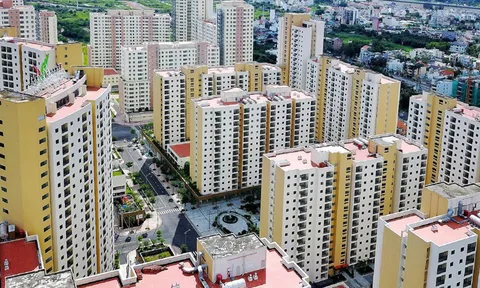 Căn hộ nhỏ đáp ứng nhu cầu người cần nhà