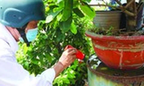 Cảnh báo bệnh sốt xuất huyết vào mùa