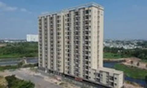 UBND TPHCM chỉ đạo xử lý vi phạm hợp đồng mẫu mua bán căn hộ