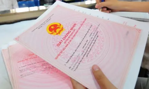 Nóng trong tuần: Mất tiền tỷ vì "sập bẫy" sổ đỏ giả