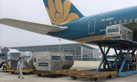 Vietnam Airlines miễn phí vận chuyển hàng hóa hỗ trợ phòng, chống dịch Covid-19 của UBTW MTTQ Việt Nam
